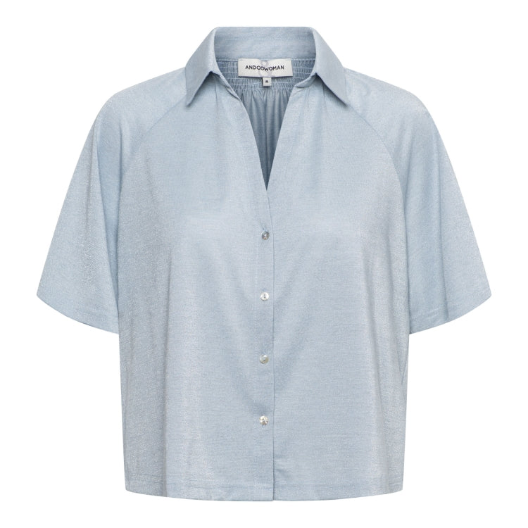 vanity blouse